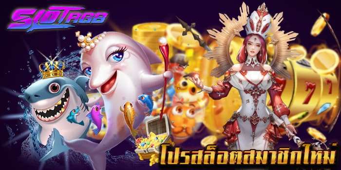 โปรสล็อตสมาชิกใหม่