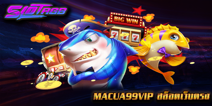 macua99vip สล็อตเว็บตรง