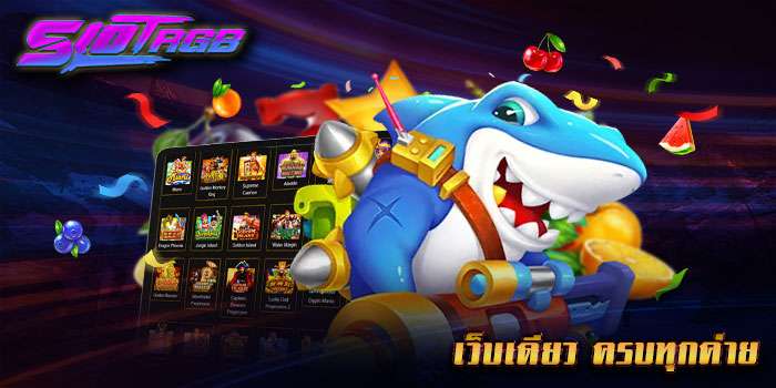 เว็บเดียว ครบทุกค่าย